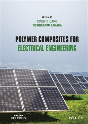 Polymer Composites for Electrical Engineering 1