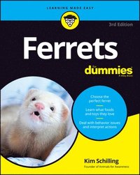 bokomslag Ferrets For Dummies