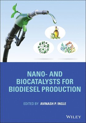 Avinash P. Ingle, Avinash P. Ingle - Nano- and Biocatalysts for Biodiesel Production, Inbunden