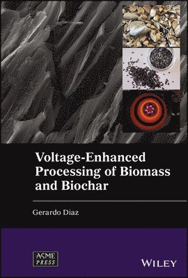 bokomslag Voltage-Enhanced Processing of Biomass and Biochar