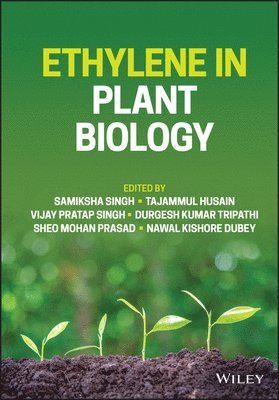 Samiksha Singh, Samiksha Singh, Tajammul Husain, Vijay Pratap Singh, Durgesh Kumar Tripathi, Sheo Mohan Prasad, Nawal Kishore Dubey - Ethylene in Plant Biology, Inbunden