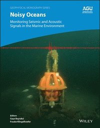 bokomslag Noisy Oceans