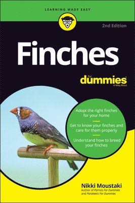 Finches For Dummies 1