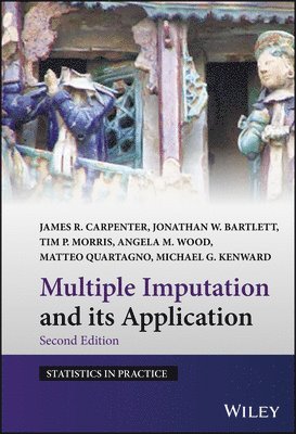 James R. Carpenter, Jonathan W. Bartlett, Tim P. Morris, Angela M. Wood, Matteo Quartagno, Michael G. Kenward - Multiple Imputation and its Application, Inbunden