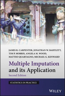 Multiple Imputation and its Application 1