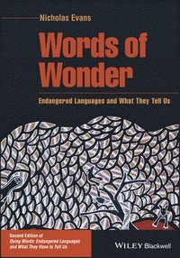 bokomslag Words of Wonder