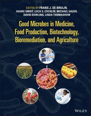 Frans J. de Bruijn, Hauke Smidt, Luca S. Cocolin, Michael Sauer, David N. Dowling, Linda Thomashow - Good Microbes in Medicine, Food Production, Biotechnology, Bioremediation, and Agriculture, Inbunden