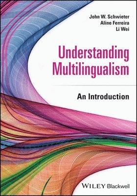 bokomslag Understanding Multilingualism