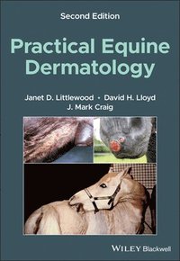bokomslag Practical Equine Dermatology