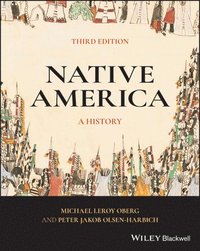 bokomslag Native America