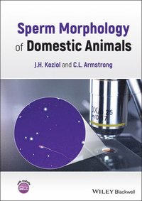 bokomslag Sperm Morphology of Domestic Animals