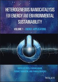 bokomslag Heterogeneous Nanocatalysis for Energy and Environmental Sustainability, Volume 1