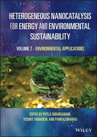 bokomslag Heterogeneous Nanocatalysis for Energy and Environmental Sustainability, Volume 2
