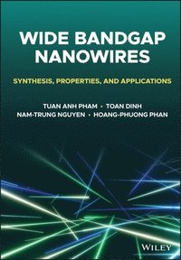 bokomslag Wide Bandgap Nanowires