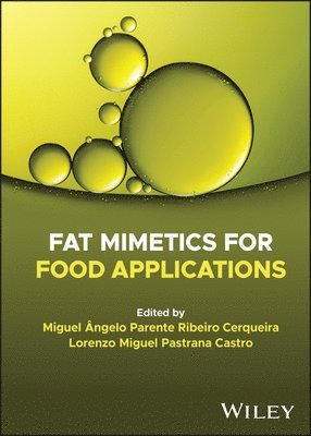 Miguel Cerqueira, Lorenzo Castro - Fat Mimetics for Food Applications, Inbunden