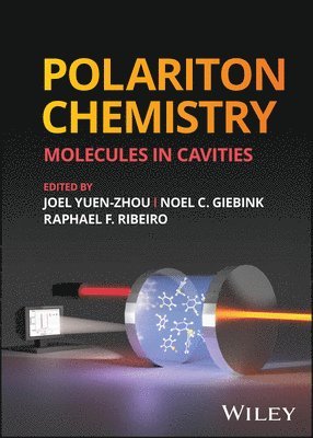 Joel Yuen-Zhou, Joel Yuen-Zhou, Noel C. Giebink, Raphael F. Ribeiro - Polariton Chemistry, Inbunden