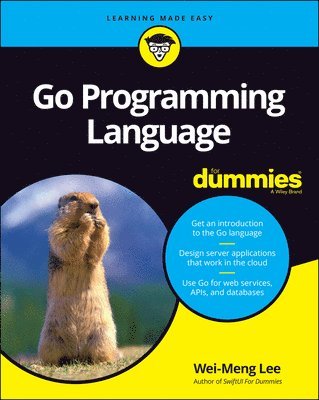 bokomslag Go Programming Language For Dummies