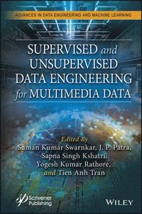 bokomslag Supervised and Unsupervised Data Engineering for Multimedia Data