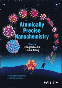 bokomslag Atomically Precise Nanochemistry