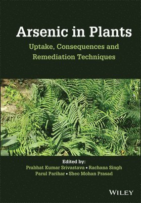 Prabhat Kumar Srivastava, Prabhat Kumar Srivastava, Rachana Singh, Parul Parihar, Sheo Mohan Prasad - Arsenic in Plants, Inbunden