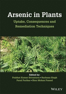 bokomslag Arsenic in Plants