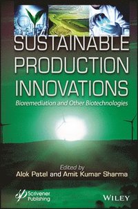 bokomslag Sustainable Production Innovations