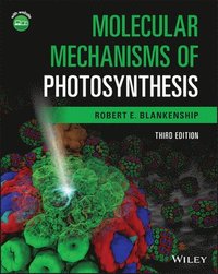 bokomslag Molecular Mechanisms of Photosynthesis