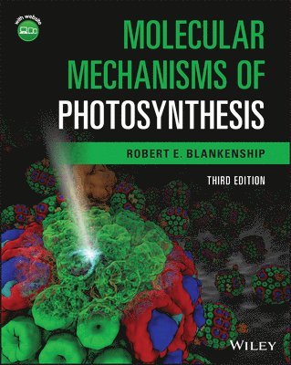 Molecular Mechanisms of Photosynthesis 1