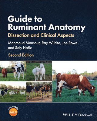 bokomslag Guide to Ruminant Anatomy