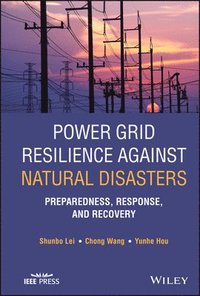 bokomslag Power Grid Resilience against Natural Disasters