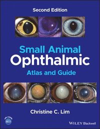 bokomslag Small Animal Ophthalmic Atlas and Guide