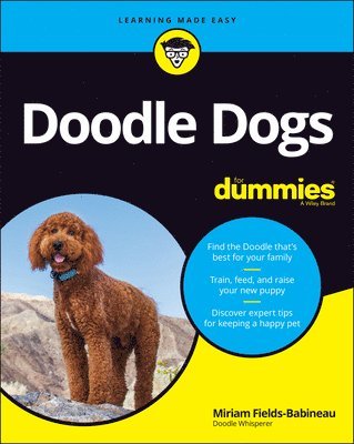 Miriam Fields-Babineau - Doodle Dogs For Dummies, Häftad