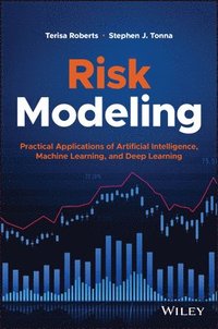 bokomslag Risk Modeling