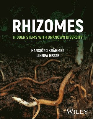 bokomslag Rhizomes