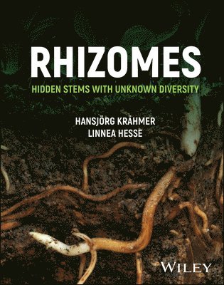 Rhizomes 1
