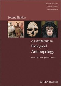 bokomslag A Companion to Biological Anthropology