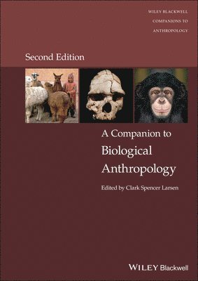 Clark Spencer Larsen, Clark Spencer Larsen - Companion to Biological Anthropology, Inbunden