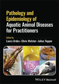 bokomslag Pathology and Epidemiology of Aquatic Animal Diseases for Practitioners