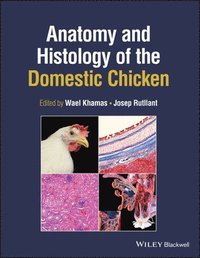 bokomslag Anatomy and Histology of the Domestic Chicken