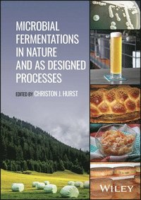 bokomslag Microbial Fermentations in Nature and as Designed Processes