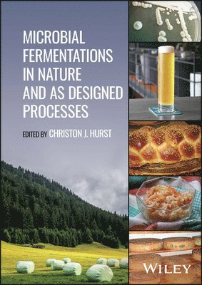 Microbial Fermentations in Nature and as Designed Processes 1