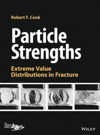 bokomslag Particle Strengths
