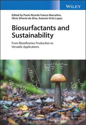 Paulo Ricardo Franco Marcelino, Silvio Silverio da Silva, Antonio Ortiz Lopez - Biosurfactants and Sustainability, Inbunden