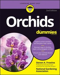 bokomslag Orchids For Dummies