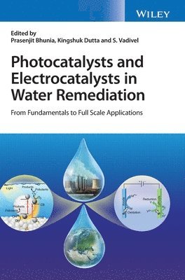 Photocatalysts and Electrocatalysts in Water Remediation 1