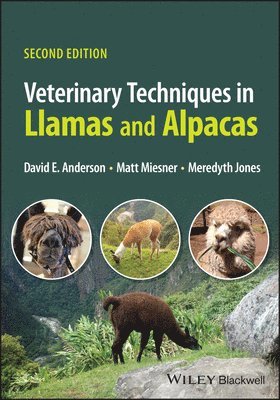 David E. Anderson, Matt D. Miesner, Meredyth L. Jones - Veterinary Techniques in Llamas and Alpacas, Häftad