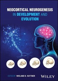 bokomslag Neocortical Neurogenesis in Development and Evolution