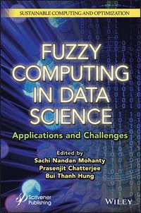 bokomslag Fuzzy Computing in Data Science