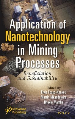 Elvis Fosso-Kankeu, Martin Mkandawire, Bhekie B. Mamba - Application of Nanotechnology in Mining Processes, Inbunden