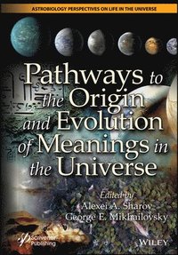 bokomslag Pathways to the Origin and Evolution of Meanings in the Universe